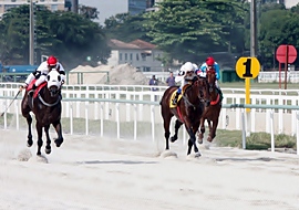 Domingo começa a Copa de Areia – Milha