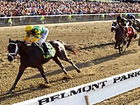 Palace Malice bate Oxbow e Orb para se consagrar no Belmont Stakes (G1)