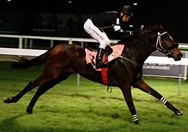Invicta na Gávea, Vivre La Nuit mostra categoria no Clássico Riboletta (L.)
