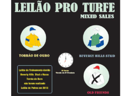 Hoje, 19h, leilão de animais em treinamento da Pro Turfe