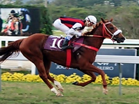 Addeds confirmados: GP João Adhemar e Nelson de Almeida Prado (G3)