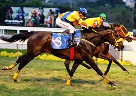 No último pulo, Energia Destaque supera Sending Kisses rumo ao GP Brasil (G1)