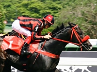 Confira os comentários de Fernando Lopes para corrida de hoje, na Gávea