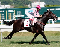 Confira os comentários de Fernando Lopes para corrida de hoje, na Gávea