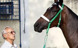 Alcides Morales busca o tricampeonato no GP Brasil (G1)