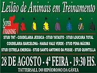 Hoje, quarta-feira, 28 de agosto, é dia do Leilão Super Training no Tattersall da Gávea