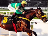 Listed agita o simulcasting com Cidade Jardim