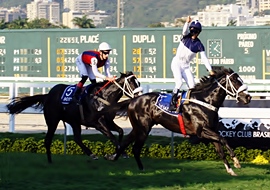 Indicações da Gávea, por André Cunha, Celson Afonso e Fernando Lopes