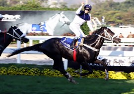 Desejado Put iguala o recorde e conquista o GP Major Suckow (G1)