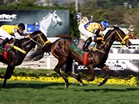 Energia Fribby atropela forte para vencer o GP João Adhemar e Nelson de Almeida Prado (G3)