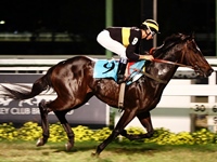 Confira os comentários atualizados de Fernando Lopes para corrida de hoje, na Gávea
