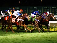 Queen Of Night resiste a Belquis na P.E. Tirolesa