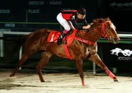 Senhor Speed vence o Luiz Gurgel do Amaral Valente e abre o Festival do GP Brasil
