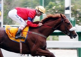 Vitória Olímpica, do TNT, vence stakes em Saratoga