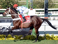 Olympic Leader assume a dianteira da Taça Quati