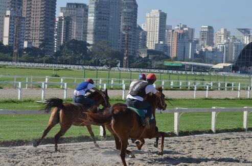 No simulcasting com Cidade Jardim, oito páreos abertos para apostas