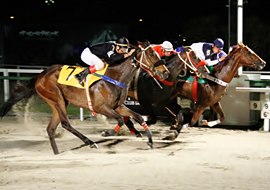 Em final emocionante, vitória de Desejado Fighter na P.E. Hamdam