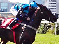 GP Independência (G3), o destaque do simulcasting com Cidade Jardim