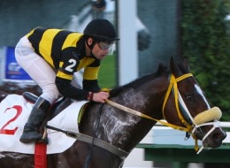 Velocistas se enfrentam na melhor carreira de hoje, no Hipódromo do Cristal
