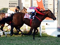 Fixador arranca forte para a vitória no Grande Prêmio Ipiranga (G1)