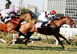 Atropelada irresistível de Serata Bella para vencer o GP Barão de Piracicaba (G1)