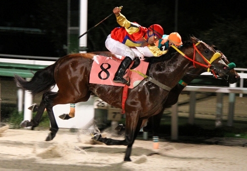 Arquimedes atropela forte e leva o GP Salgado Filho (G2)