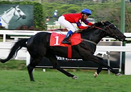 Em recorde, Avenger Of Light brilha no GP Linneo de Paula Machado (G1)