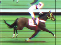 Estupenda Demais atropela forte para levar o GP Henrique de Toledo Lara (G1)