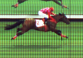 Rumo à Tríplice Coroa, Fixador vence o GP Jockey Club de São Paulo (G1)