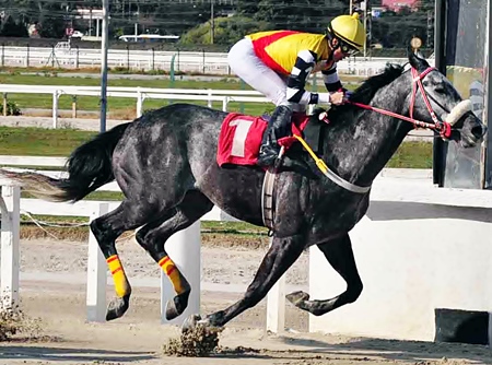 Arenáticos disputam as melhores carreiras em Cidade Jardim