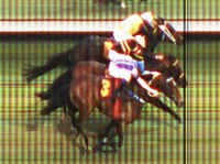 A caminho do Derby, Innocent Art vence em final emocionante