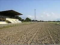 Seis carreiras no simulcasting com São Vicente