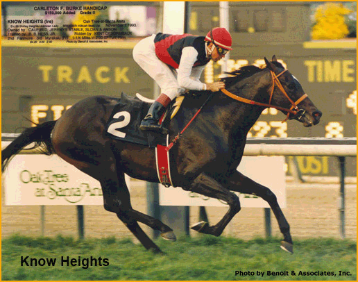 Know Heights, um dos grandes reprodutores do turfe brasileiro