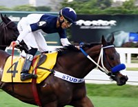 Maison Du Caviar confirma evolução e levanta o GP Marciano de Aguiar Moreira (G2)