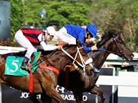 Queen Of Night resiste a Belquis e conquista a P.E. Platina
