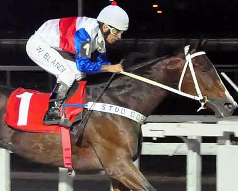 Grande Prêmio Adil (G3) é o destaque do simulcasting com Cidade Jardim