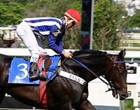 Spitfire passou para o segundo lugar na Taça Quati