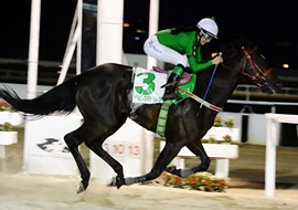 Victory Is Ours, recordista e ganhador do GP Paraná (G1)