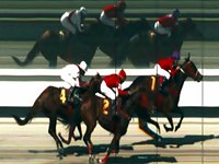 Xastrid Halo surpreende na P.E. Garbosa Bruleur