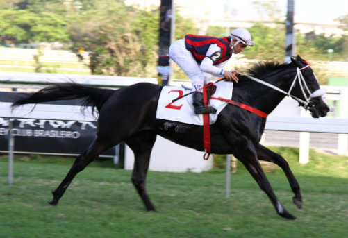 Bottega confirma enorme favoritismo e, muito fácil, leva o GP Costa Ferraz (G3)