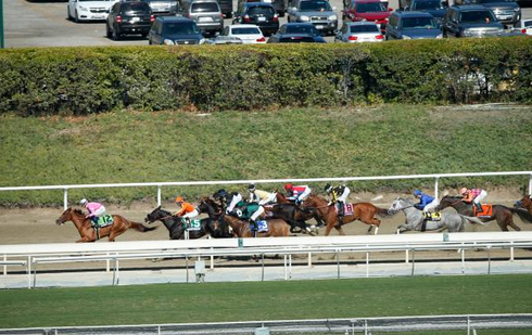 Brasileira Great Hot finaliza em sétimo na  Breeders’ Cup Filly & Mare Sprint (G1)