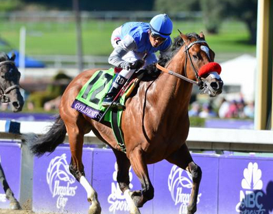 Em grande atuação, brasileiro Brujo de Olleros atropela para chegar em terceiro na Breeders’ Cup Dirt Mile (G1)