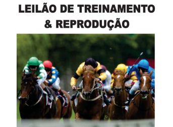 Pro Turfe: Hoje, às 20h, imperdível Leilão de Treinamento e Reprodução