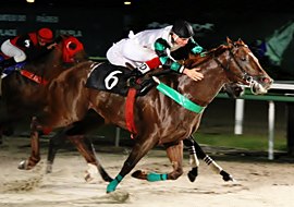 Com direção inspirada de Dalto Duarte, vitória para Landau no GP Hipódromo da Gávea (G3)
