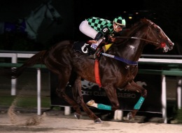 Em excelente forma, Piramide Solar leva a melhor na Prova Especial Plenty Of Kicks