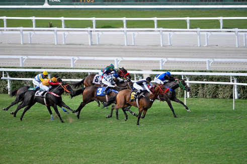 Nesta segunda-feira, oito provas no simulcasting com Cidade Jardim