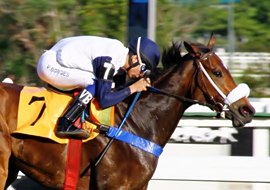 Classe é classe e Sutil conquista o GP Mariano Procópio (G3)