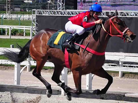P.E. Damping Wave é a atração do simulcasting com Cidade Jardim