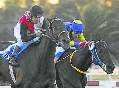 Cooptado vence o Gran Premio Nacional (G1), o Derby Argentino, no Hipódromo de Palermo
