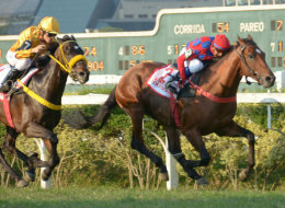 Contratempo tira Fixador do GP Carlos Pellegrini (G1)